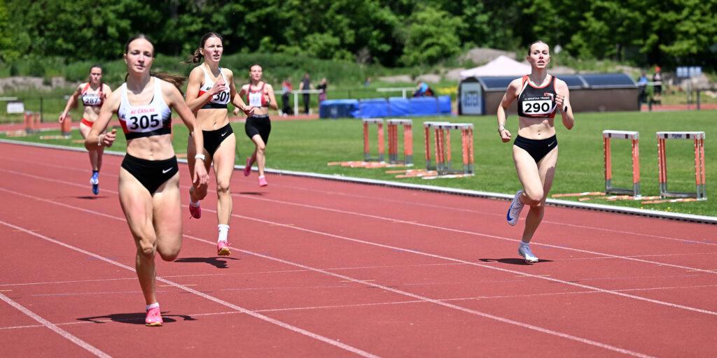 54542833110 b36b659d77 o